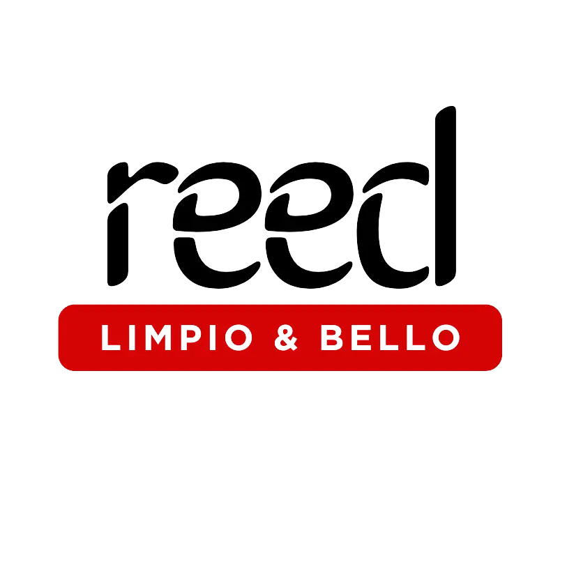 Reed Limpio Y Bello